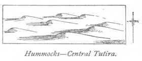 Hummocks—Central Tutira