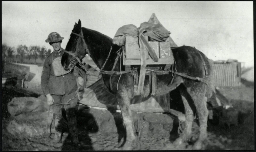 WWI Photograph Album