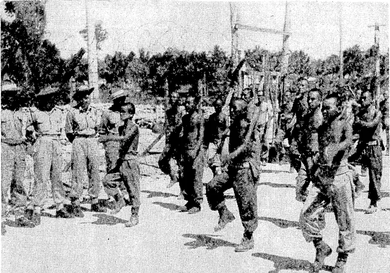 Japanese prisoners of tear in the Australian compound at Morotai. Each morning the Japs are instructed in physical culture, orders being given by a Japanese sergeant-major. (Evening Post, 10 September 1945)