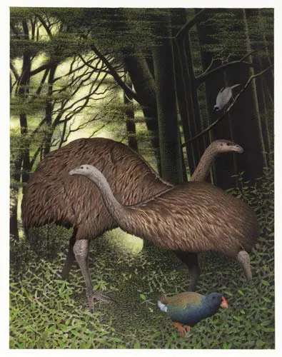 South Island giant moa