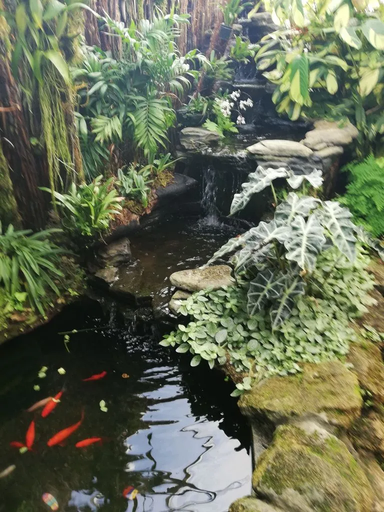 Peter Black Conservatory, Victoria Esplanade