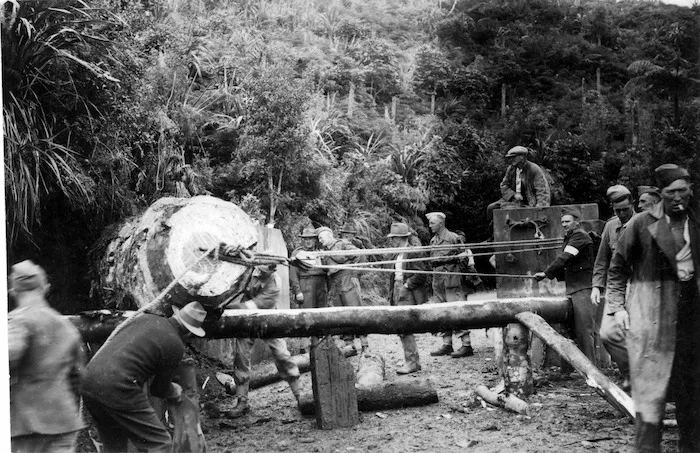 Members of the New Zealand Army Home Guard constructing a roadblock