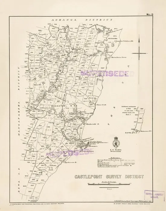 Castlepoint Survey District [electronic resource].