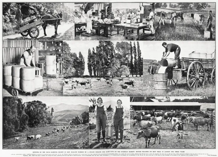 Opening of the 1935-36 dairying season in New Zealand